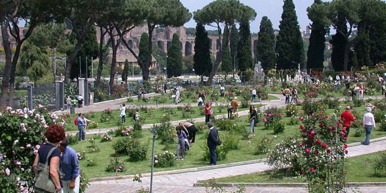 Il Roseto Comunale di Roma