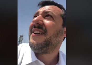 salvini gabbiani