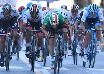 elia viviani Giro volata