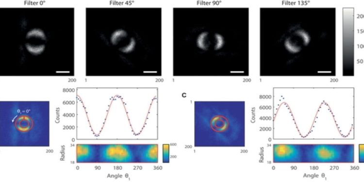 Entanglement quantistico, ecco la prima foto