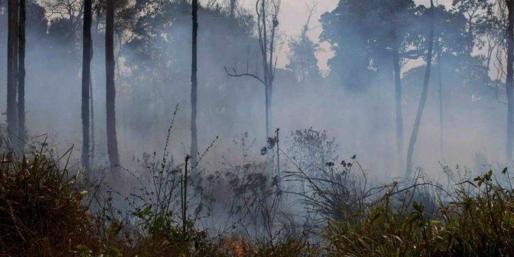 Incendi in Amazzonia