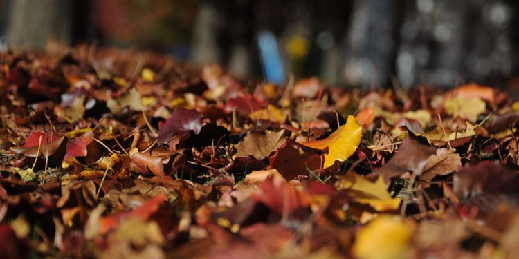 Equinozio d'autunno