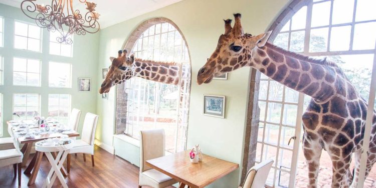 Giraffe Manor in Kenya