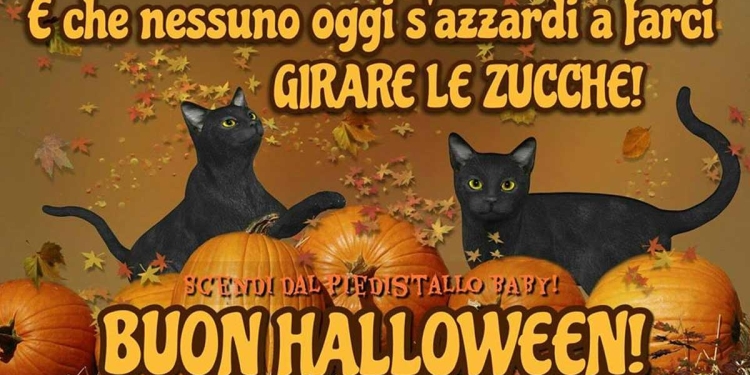 Halloween fra gatti e zucche