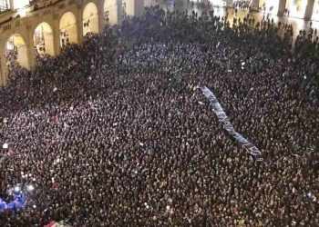 sardine a Bologna