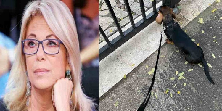 Rita Dalla Chiesa, incidente con il cane - Foto Instagram