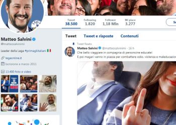 Salvini e il selfie della giovane con il dito medio (Twitter)