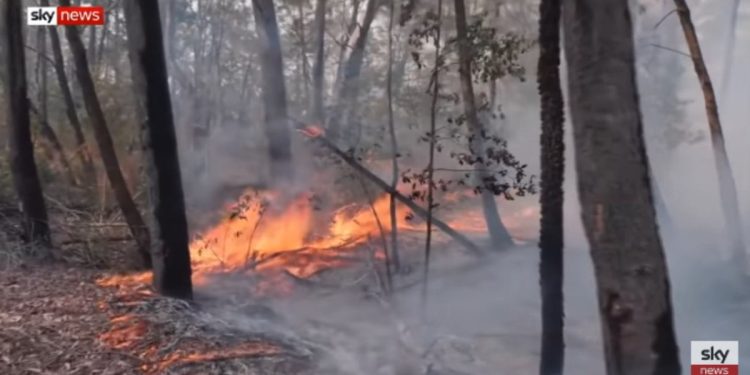 Incendi in Australia (Sky, Youtube)