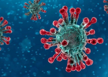 coronavirus