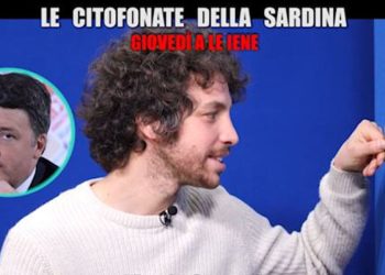 Mattia Santori, Le Iene