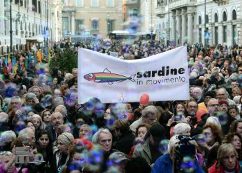 Sardine