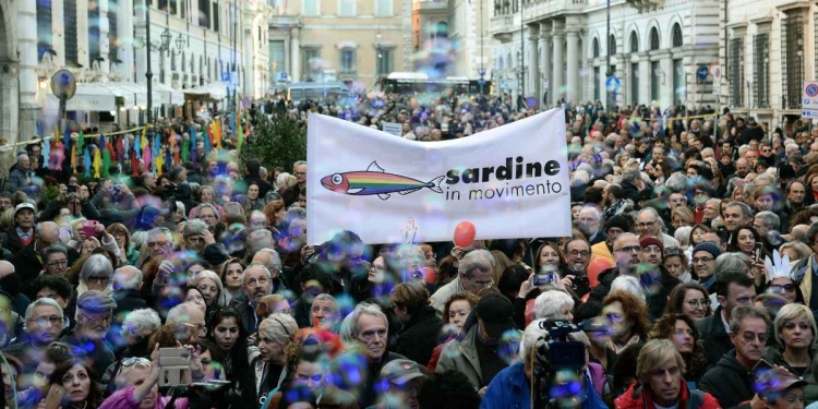 Sardine