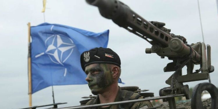 Un soldato della Nato (LaPresse)