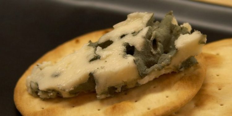 Formaggio Roquefort (foto: Pixabay)