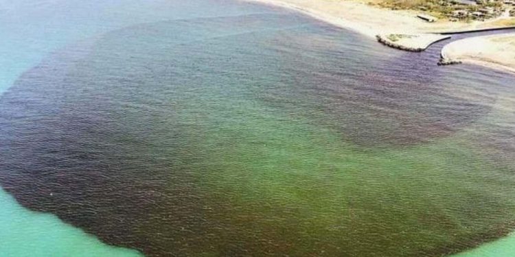 Macchia nera in mare, foto Instagram