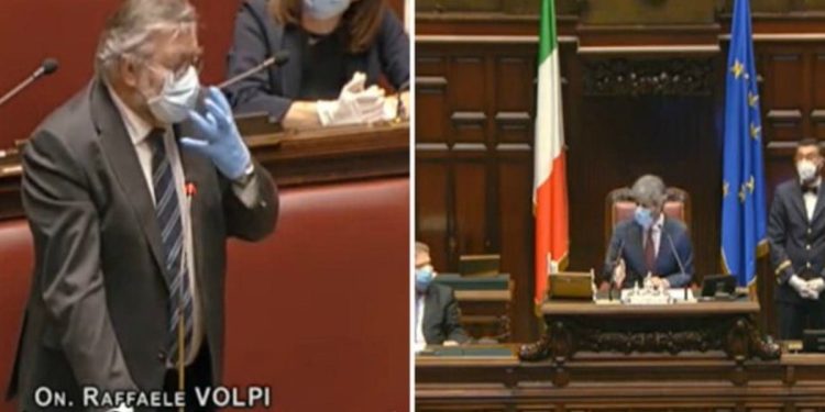 Volpi contro Fico