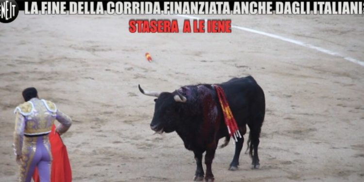 Corrida, foto Le Iene