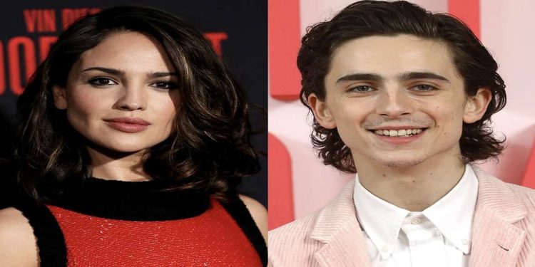 Timothée Chalamet nuova fidanzata