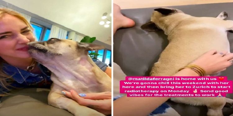 Chiara Ferragni e la cagnolina Mati