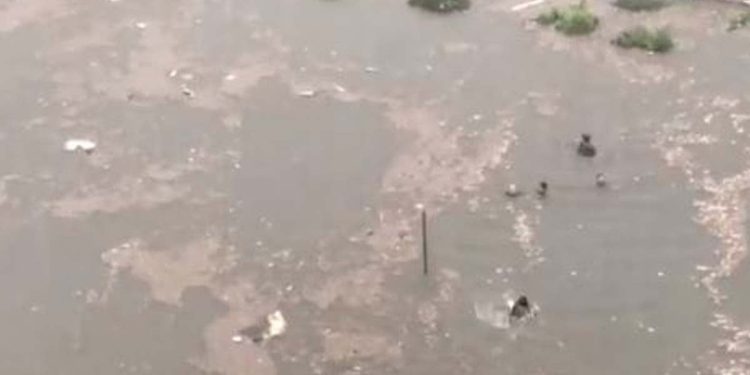 Bomba d'acqua a Palermo, video Facebook