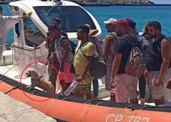 I migranti col barboncino in arrivo a Lampedusa