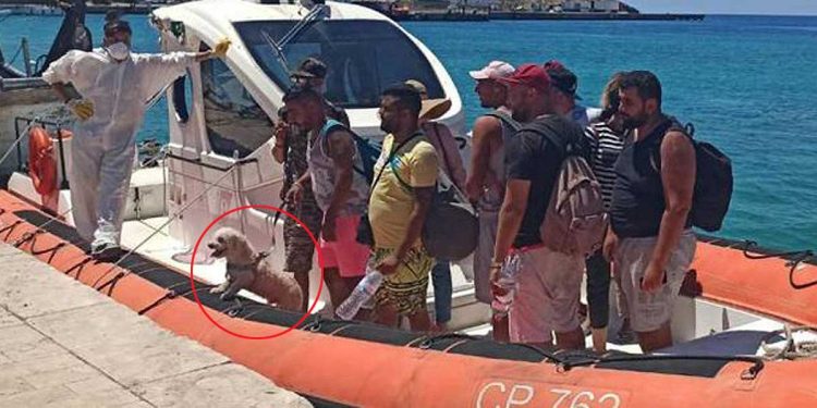 I migranti col barboncino in arrivo a Lampedusa