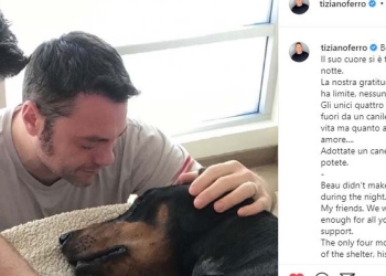 Tiziano Ferro annuncia la morte del cane Beau