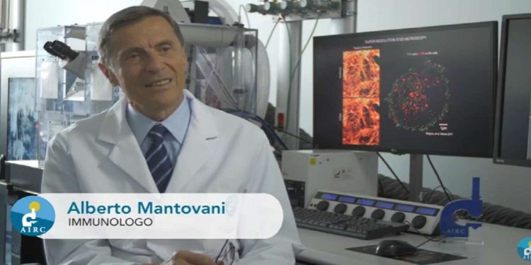 alberto mantovani