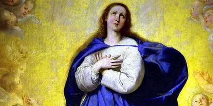 Immagini Buona Festa dell'Immacolata 2024