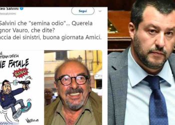 Lite Salvini Vauro