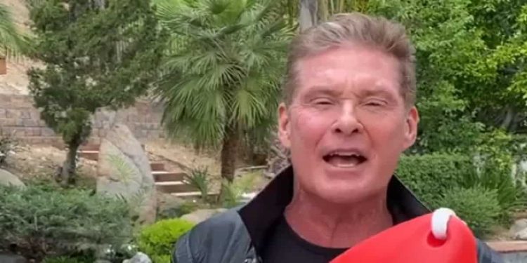 David Hasselhoff - Foto Instagram