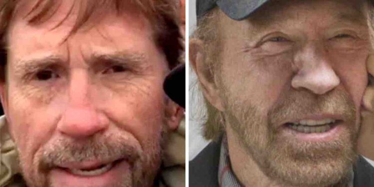 Chuck Norris fake