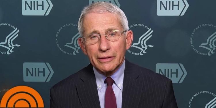 anthony fauci astrazeneca