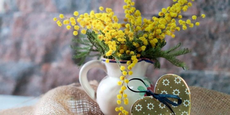 Mimose, Festa della Donna 2021 (Foto: Pixabay)