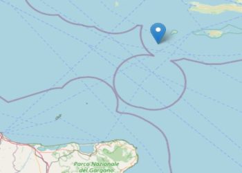 Terremoto nel Mar Adriatico (Foto: Ingv)