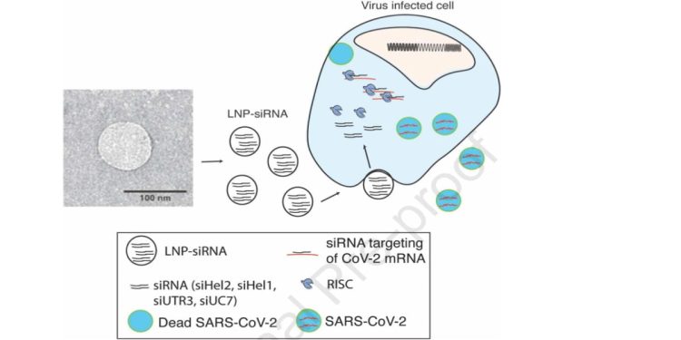 Covid, in arrivo farmaco antivirale (Molecular Therapy)