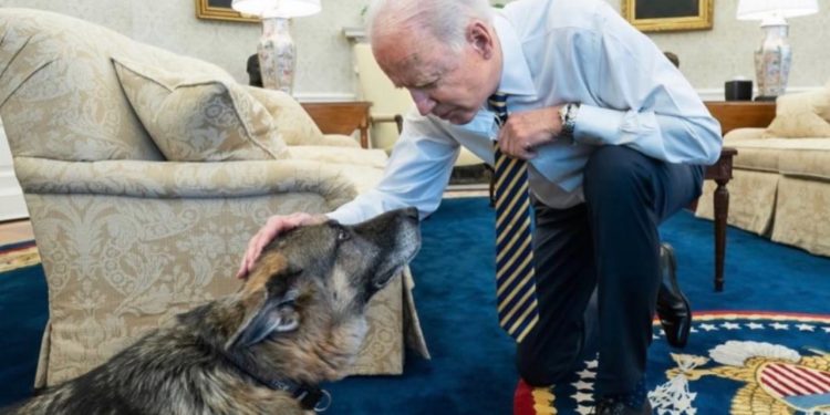 Champ, il cane di Joe Biden (foto: Twitter)