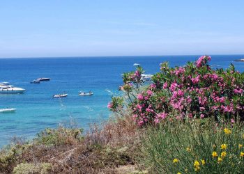 La spiaggia del TH Cinisi