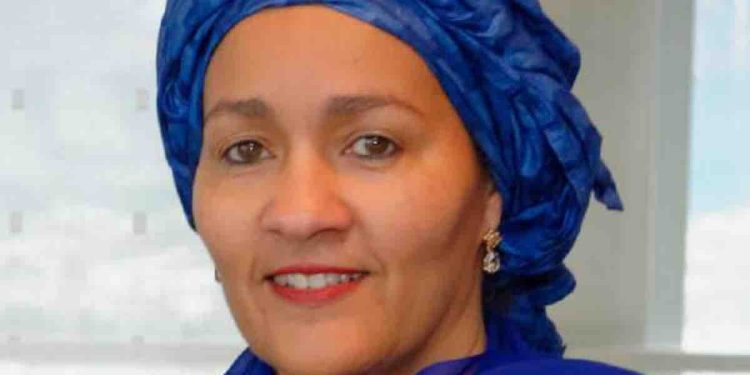 Amina J Mohammed