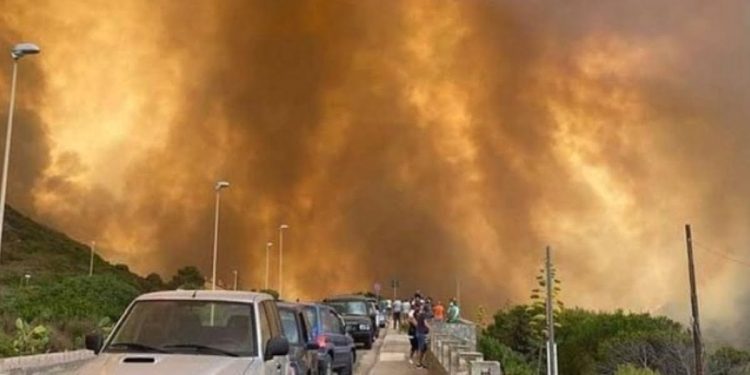 Incendio Sardegna (foto: Instagram)