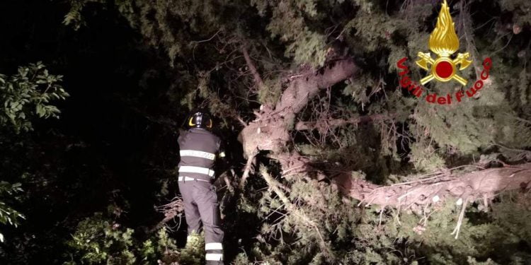 Maltempo al Nord, intervento dei vigili del fuoco (foto: Twitter)