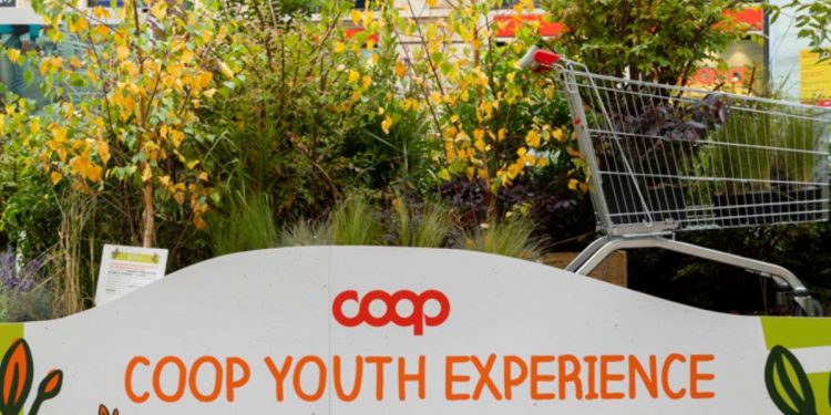 Coop Youth Experiece