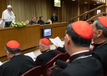 Papa Francesco, assemblea Cei