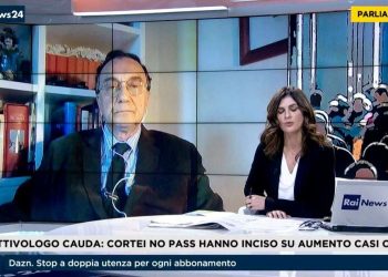 Il professor Cauda a Rai News