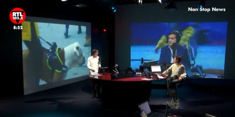 Luca Barnabei a Rtl 102.5 News