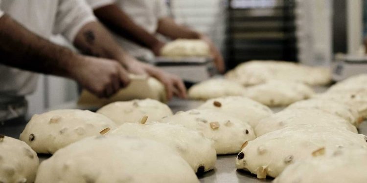 Una delle fasi di lavorazione dei panettoni nella Pasticceria Giotto