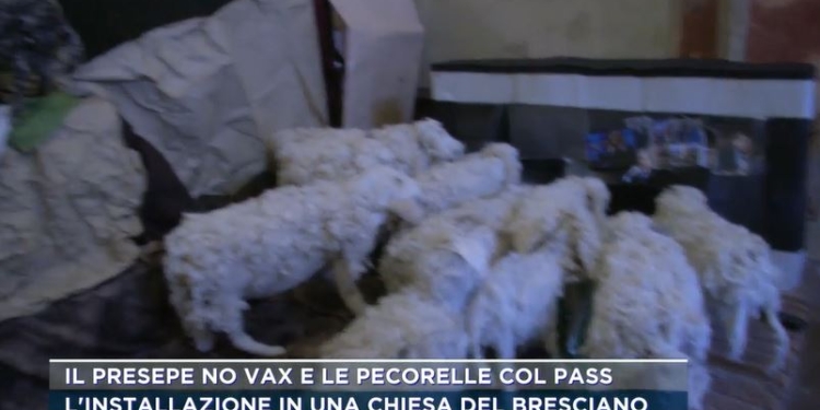 Presepe No vax (Mattino 5 news)