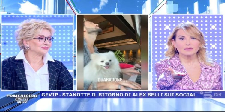 Alex Belli, Pomeriggio5