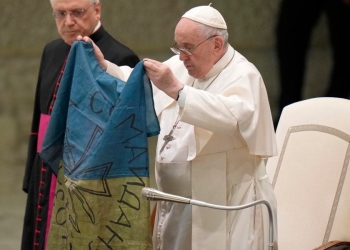 Papa Francesco, Udienza