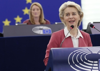 Von der Leyen, Parlamento Ue